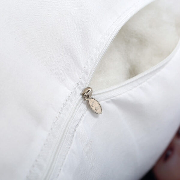 big-pillow2 big-pillow2